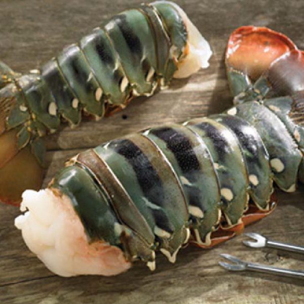 4-4.5oz South African Lobster Tails - Dixon Fisheries