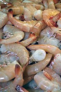Shell-on White Shrimp