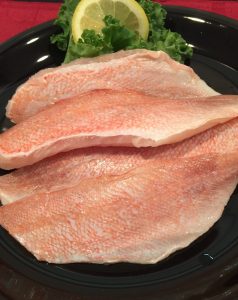Ocean Perch Fillets